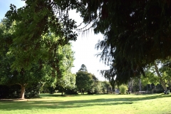 Grounds