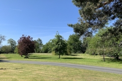 Grounds